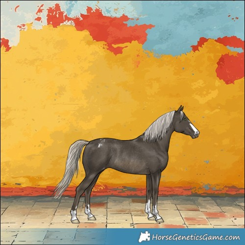 Horse Color:Silver Smoky Black Appaloosa Rabicano