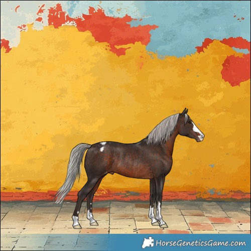Horse Color:Silver Brown Appaloosa Rabicano 