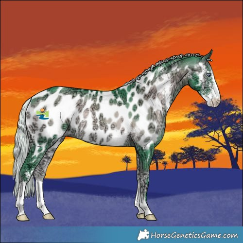 Horse Color:Watercolor Silver Brown Chinchilla Ice Onyx Sabino Near Leopard Rabicano 