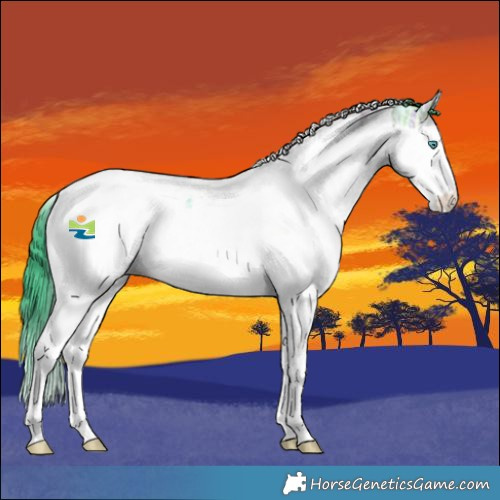 Horse Color:Watercolor Bay Ice Dun Splash Tobiano Rabicano 