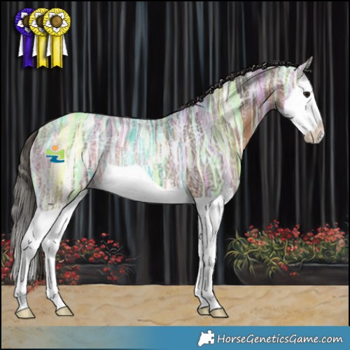 Horse Color:Bay Ice Splash Rabicano