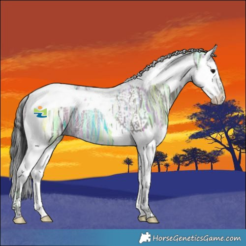 Horse Color:Grullo Ice Splash Tobiano 
