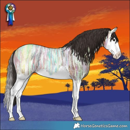 Horse Color:Bay Ice Splash Rabicano
