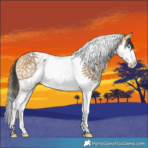 Horse Color:Buckskin Dun Splash Tobiano Rabicano