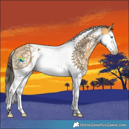 Horse Color:Buckskin Dun Splash Tobiano Rabicano 