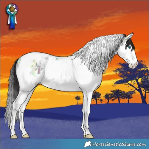 Horse Color:Smoky Grullo Ice Splash Tobiano Rabicano 