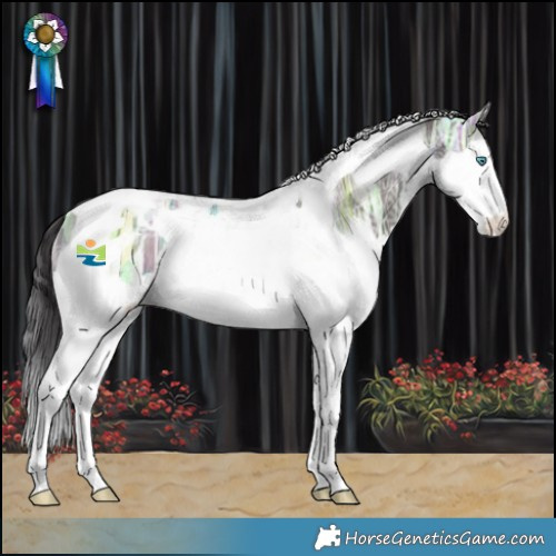 Horse Color:Smoky Grullo Ice Splash Tobiano Rabicano