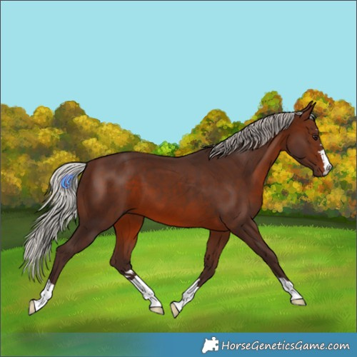 Horse Color:Silver Brown