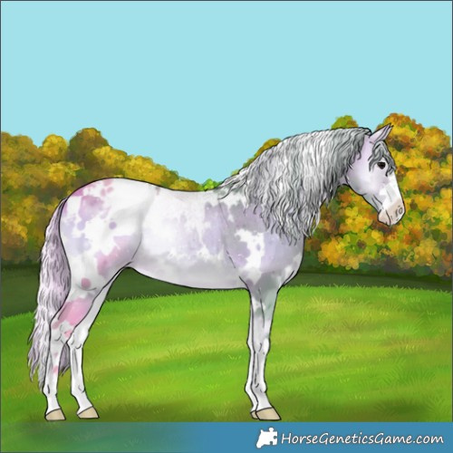 Horse Color:Watercolor White Spotted Silver Brown Onyx Blanket