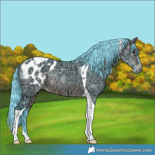 Horse Color:Watercolor Brown Ice Dun Tobiano Blanket Rabicano 