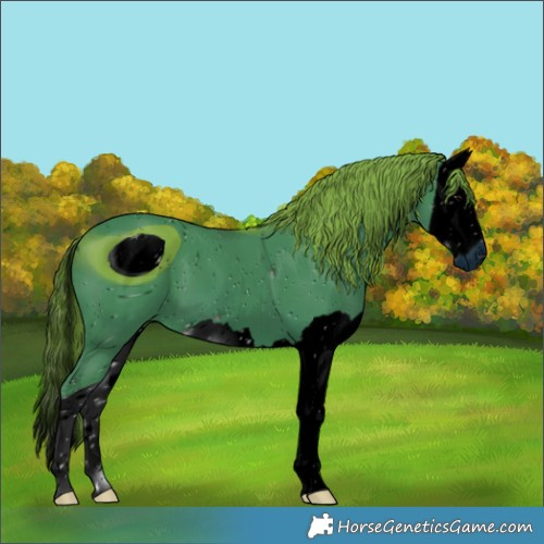 Horse Color:ERROR: UNKNOWN ANOMALY
