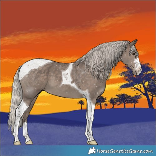 Horse Color:Silver Black Tobiano