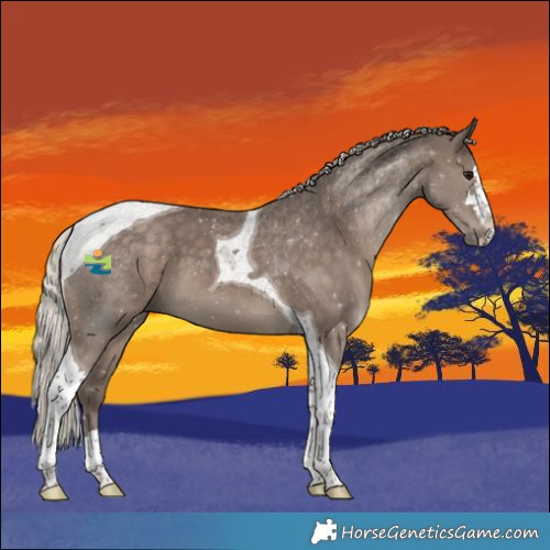 Horse Color:Silver Black Tobiano