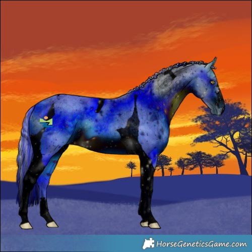 Horse Color:ERROR: UNKNOWN ANOMALY