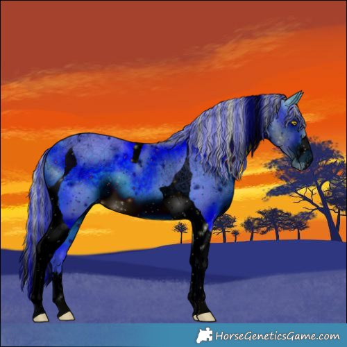 Horse Color:ERROR: UNKNOWN ANOMALY