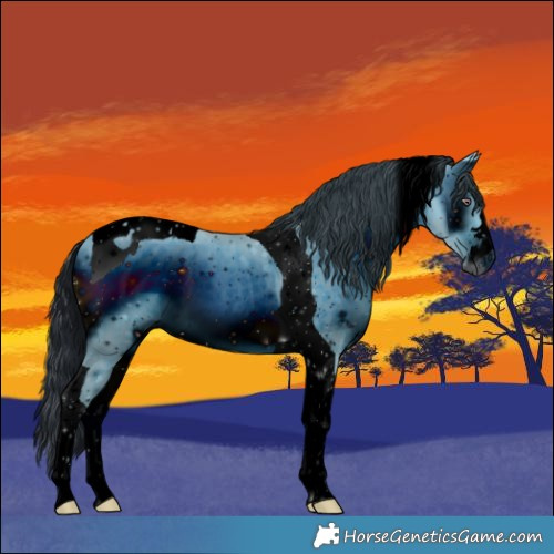Horse Color:ERROR: UNKNOWN ANOMALY