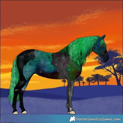 Horse Color:ERROR: UNKNOWN ANOMALY