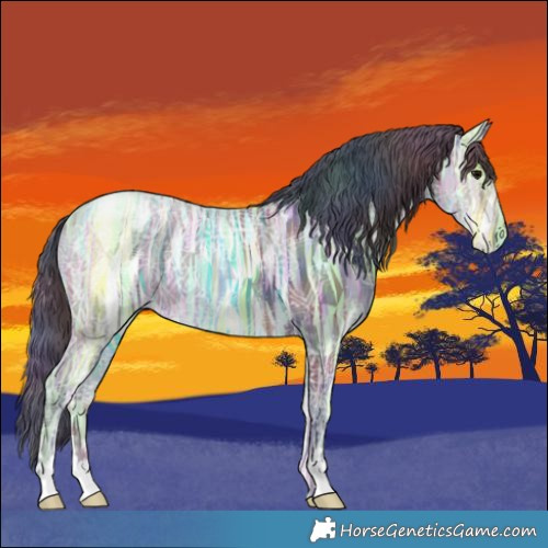 Horse Color:Nacre Black Ice