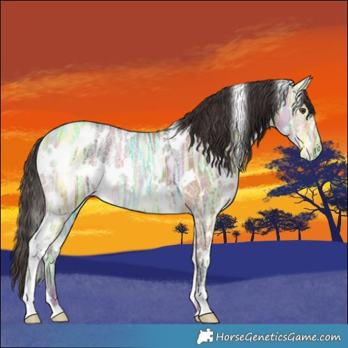 Horse Color:White Spotted Bay Ice Dun