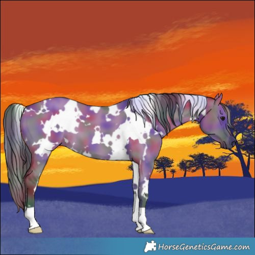 Horse Color:Nacre White Spotted Grullo 
