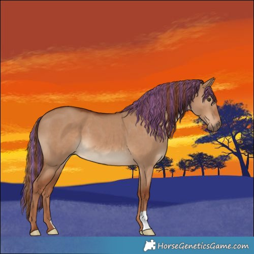Horse Color:Painted Red Dun