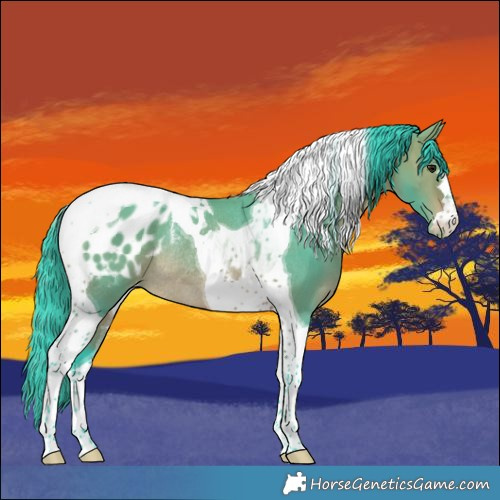Horse Color:Watercolor Bay Tobiano Appaloosa Rabicano 