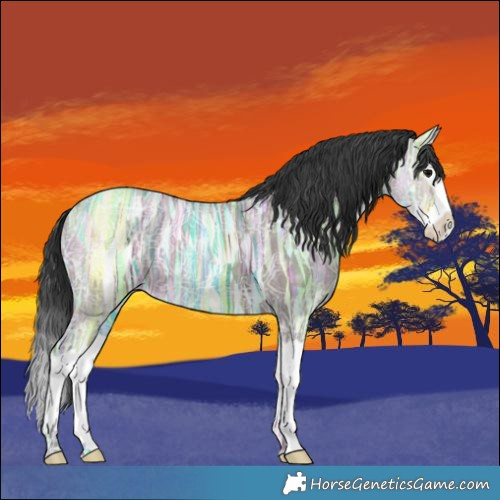 Horse Color:Grullo Ice Splash
