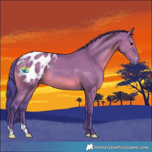 Horse Color:Watercolor Grullo Varnish 