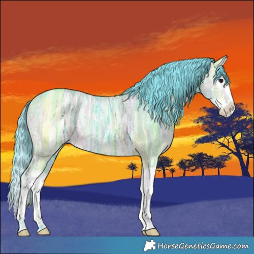 Horse Color:Watercolor Bay Ice Dun Splash Rabicano