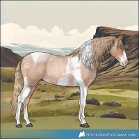 Horse Color:Red Roan Pearl Tobiano Frame