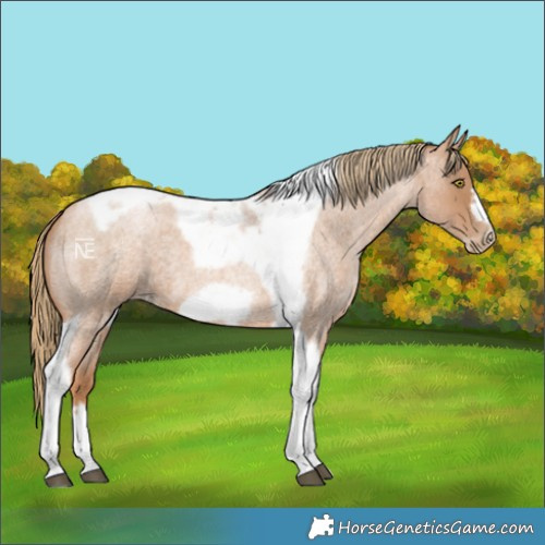 Horse Color:Red Roan Pearl Tobiano Frame 