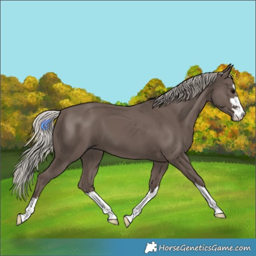 Horse Color:Silver Black 