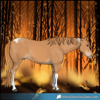 Horse Color:Chestnut Tobiano Frame 