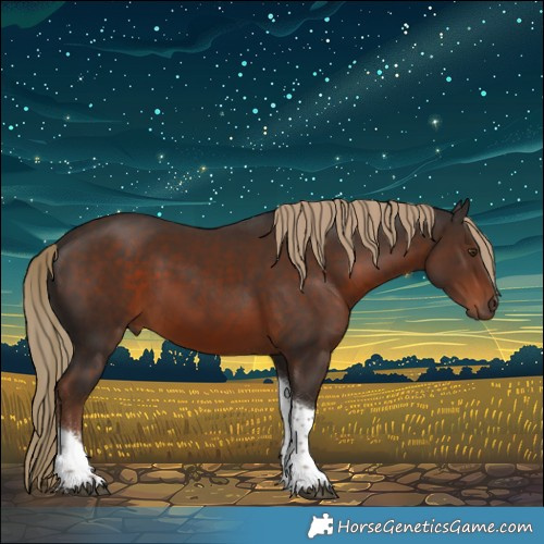 Horse Color:Liver Chestnut Sabino Tobiano 