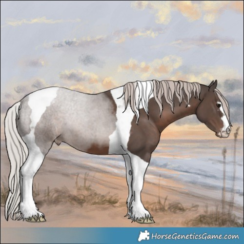 Horse Color:Silver Black Tobiano Varnish 