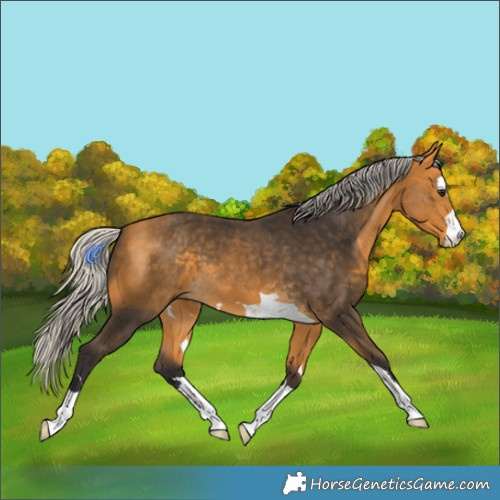 Horse Color:Silver Buckskin