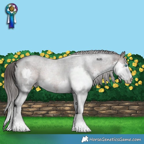 Horse Color:Brown Roan Splash Varnish