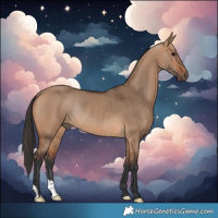 Horse Color:Bay Dun Rabicano 