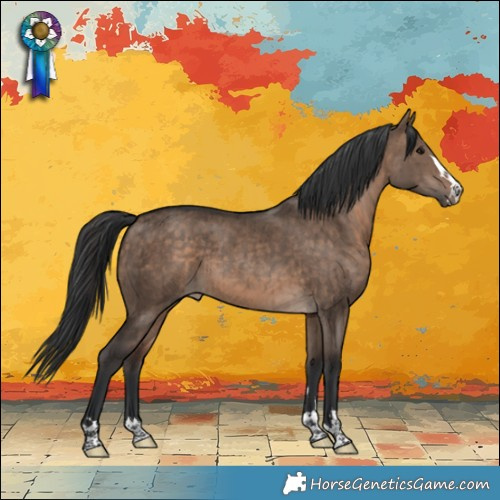 Horse Color:Brown Dun Brindle 