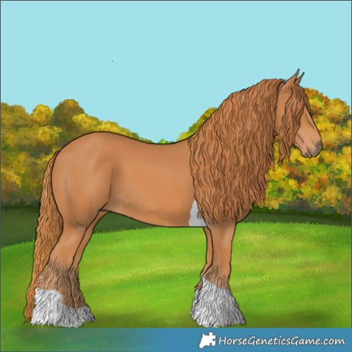 Horse Color:Chestnut Tobiano