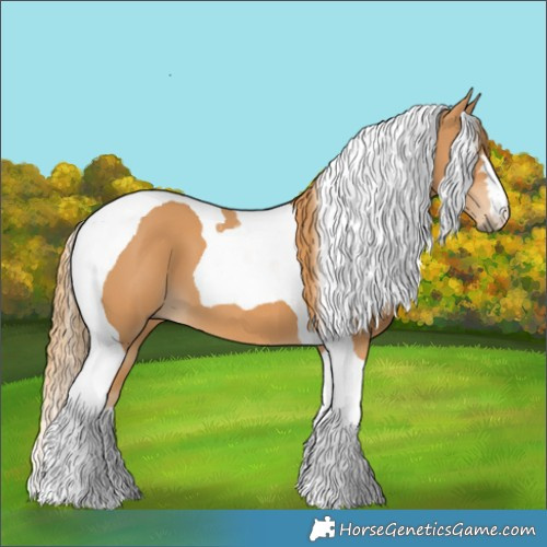 Horse Color:Chestnut Tobiano 