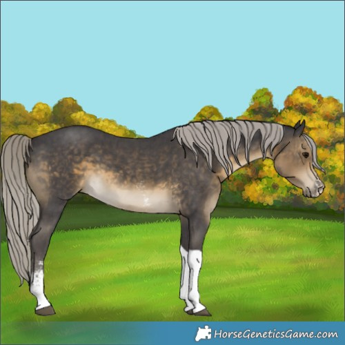 Horse Color:Silver Smoky Black Sabino Tobiano 