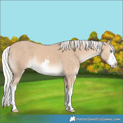 Horse Color:White Spotted Silver Perlino Splash 