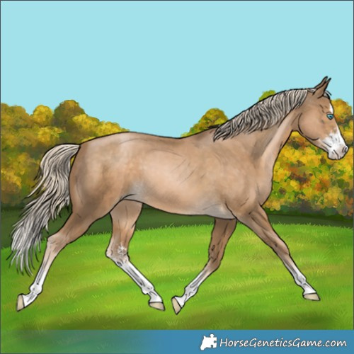 Horse Color:Chocolate Palomino Pearl Sabino Splash