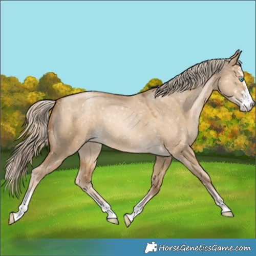 Horse Color:Chocolate Palomino Pearl Dun Sabino Snowflake Varnish 