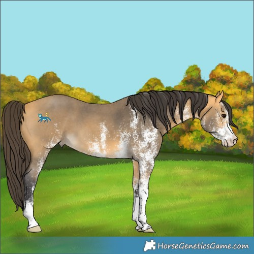Horse Color:Unknown 
