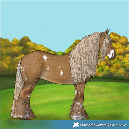 Horse Color:White Spotted Chocolate Palomino Dun 