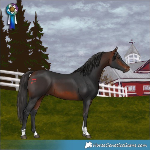 Horse Color:Bay Tobiano Rabicano