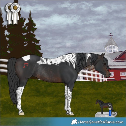 Horse Color:Brown Tobiano Rabicano 