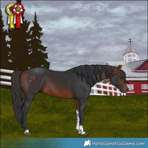 Horse Color:Bay Tobiano 